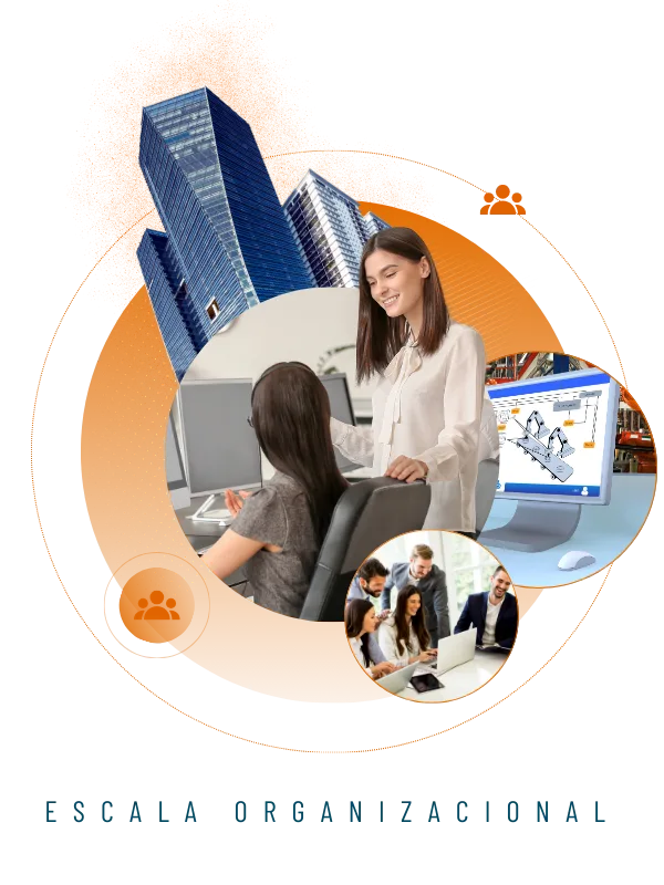 Escala Organizacional
